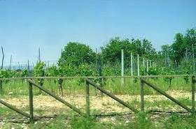 unnamed (4) - Version 2